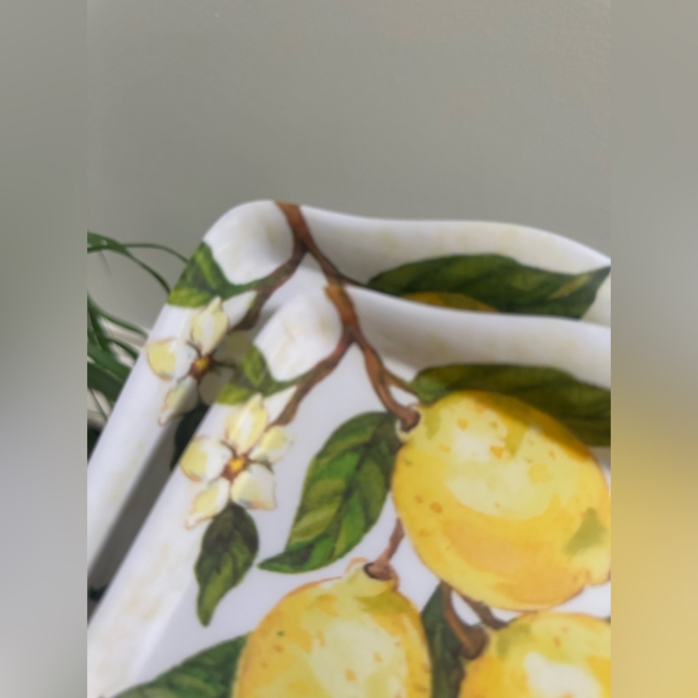 Set of 2 Nicole Miller Lemon Melamine Serving Trays Lemon Print - Picture 6 of 7